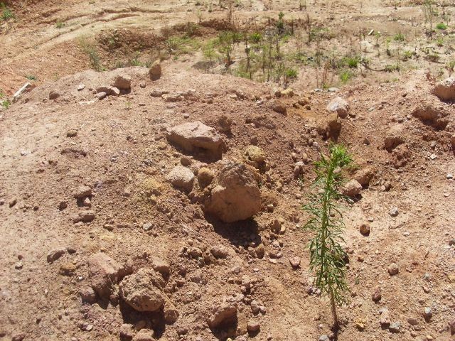 0 para Terrenos - Venda em Campos do Jordão