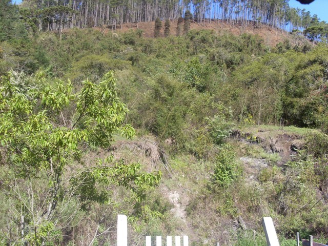 0 para Casas - Venda em Campos do Jordão