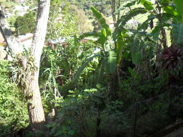0 para Casas - Venda em Campos do Jordão