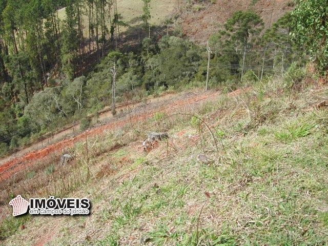 Terreno para Venda