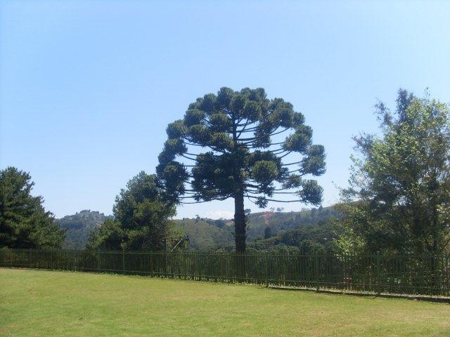 0 para Casas - Venda em Campos do Jordão