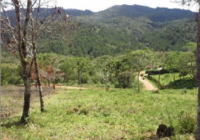 0 para Terrenos - Venda em Campos do Jordão