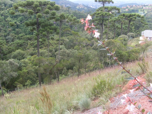 Terreno para Venda