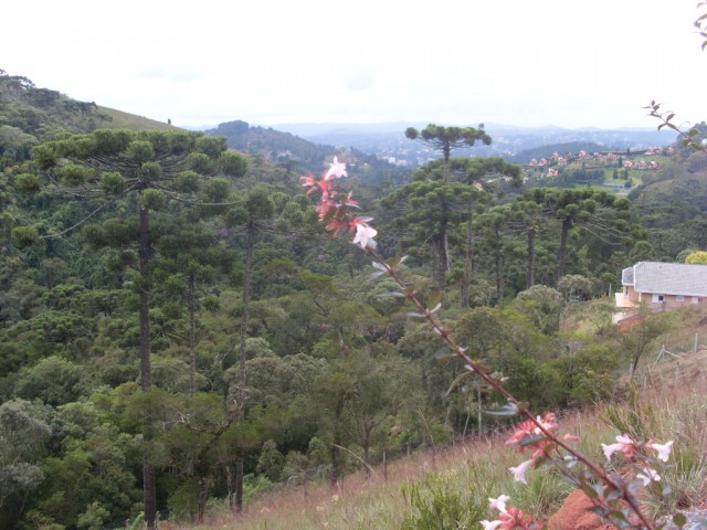 0 para Terrenos - Venda em Campos do Jordão