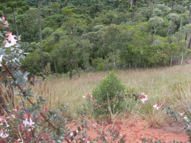 0 para Terrenos - Venda em Campos do Jordão