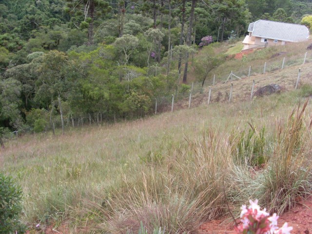 0 para Terrenos - Venda em Campos do Jordão