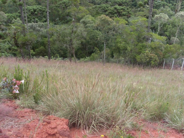 0 para Terrenos - Venda em Campos do Jordão