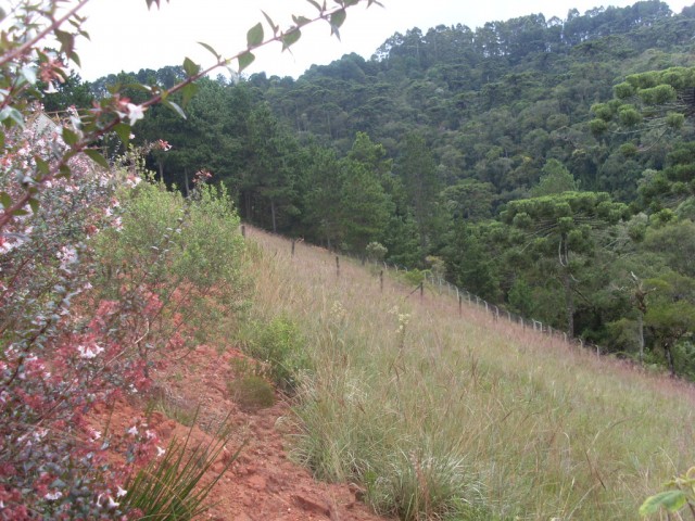 0 para Terrenos - Venda em Campos do Jordão