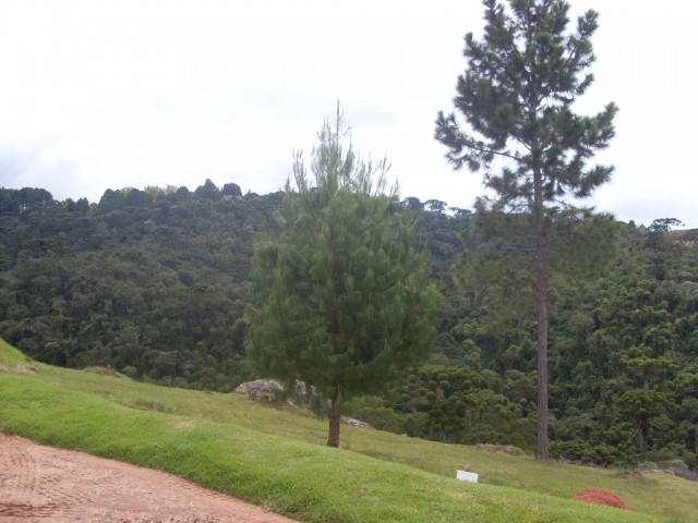 0 para Terrenos - Venda em Campos do Jordão