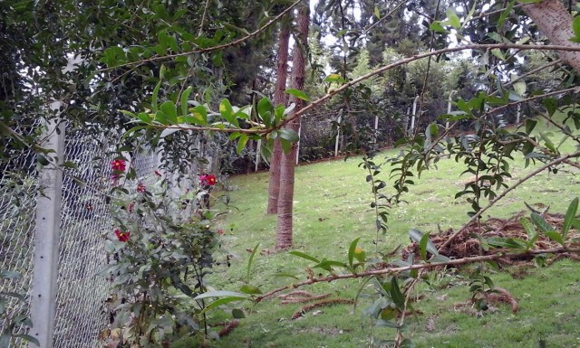 0 para Casas - Venda em Campos do Jordão