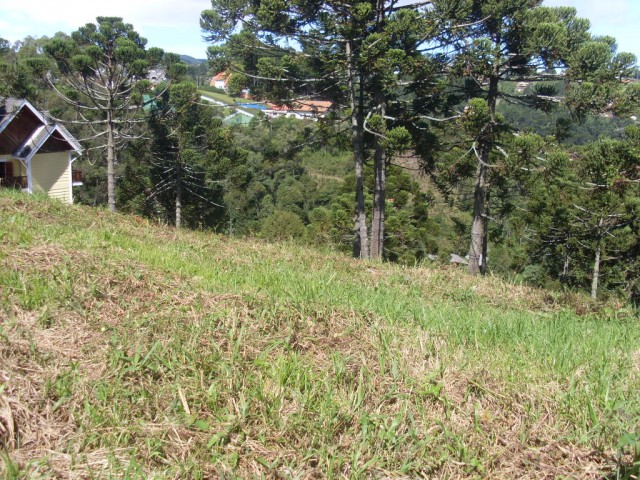 Terreno para Venda