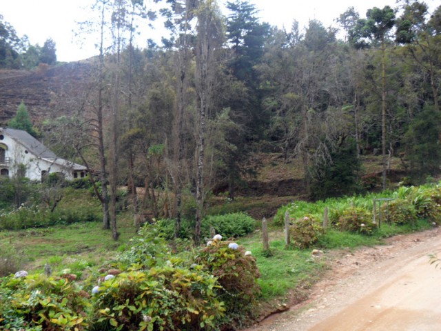 0 para Casas - Venda em Campos do Jordão