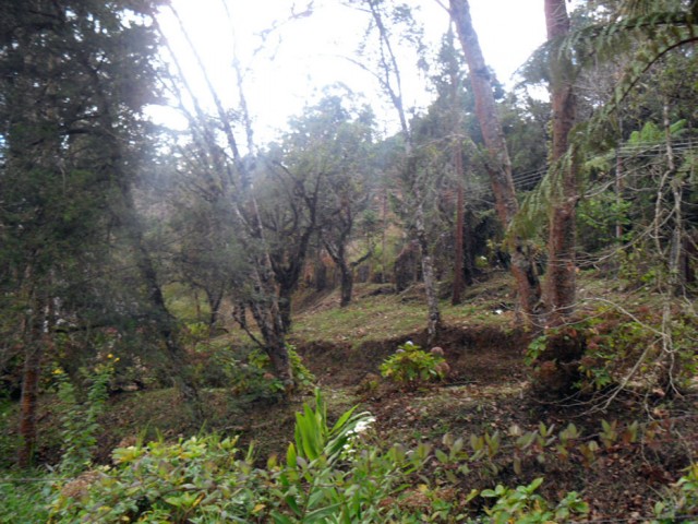 0 para Casas - Venda em Campos do Jordão