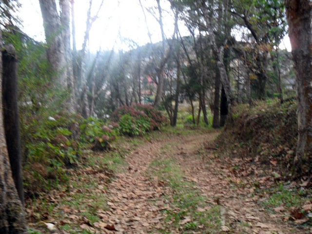0 para Casas - Venda em Campos do Jordão