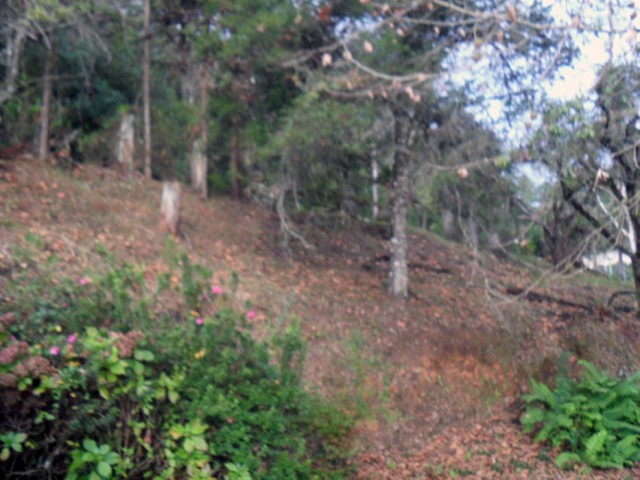 0 para Casas - Venda em Campos do Jordão