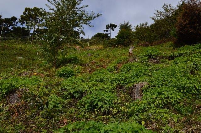 0 para Terrenos - Venda em Campos do Jordão