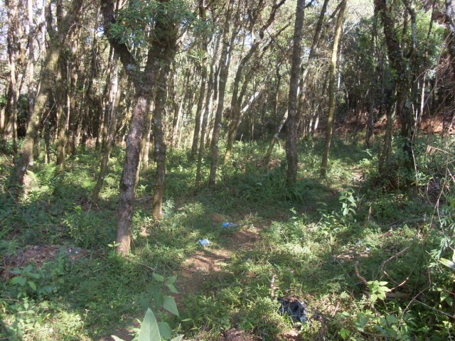 Terreno para Venda