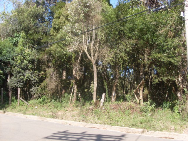 0 para Terrenos - Venda em Campos do Jordão