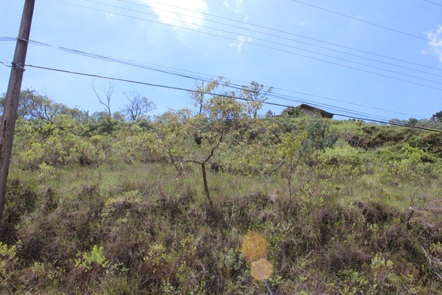 Terreno para Venda