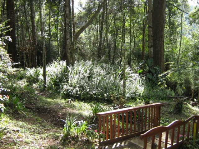 0 para Sítios - Venda em Campos do Jordão