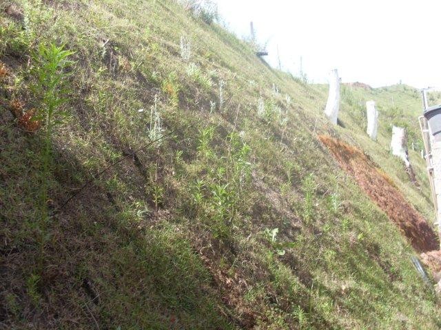 0 para Terrenos - Venda em Campos do Jordão