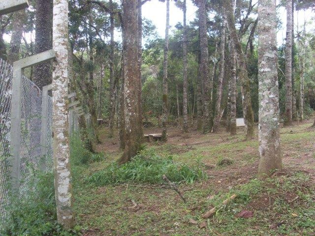 0 para Casas - Venda em Campos do Jordão