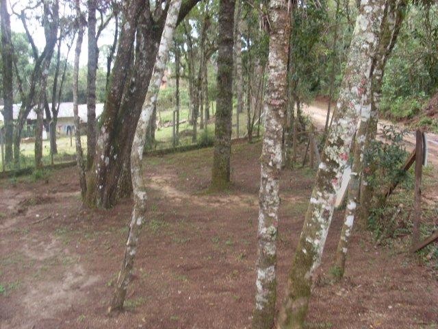 0 para Casas - Venda em Campos do Jordão