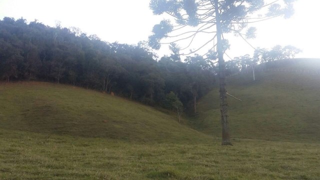 Área para Incorporação para Venda