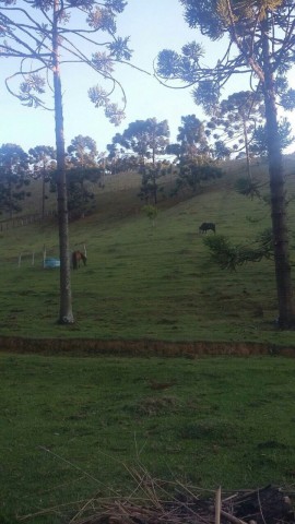 0 para Áreas para Incorporação - Venda em Campos do Jordão