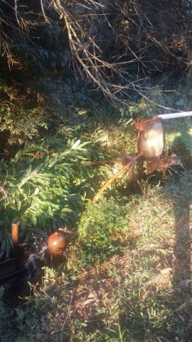 0 para Áreas para Incorporação - Venda em Campos do Jordão