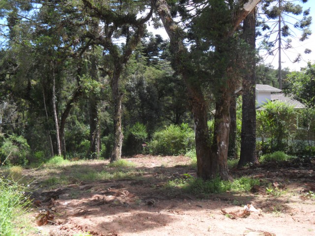 Terreno para Venda