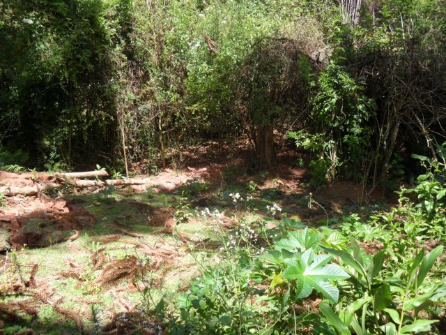 0 para Terrenos - Venda em Campos do Jordão
