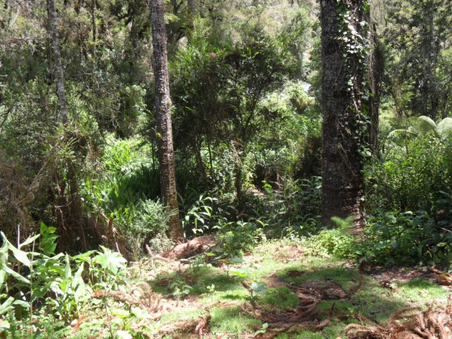 0 para Terrenos - Venda em Campos do Jordão