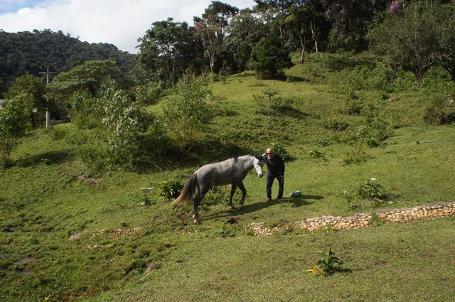 0 para Casas - Venda em Campos do Jordão
