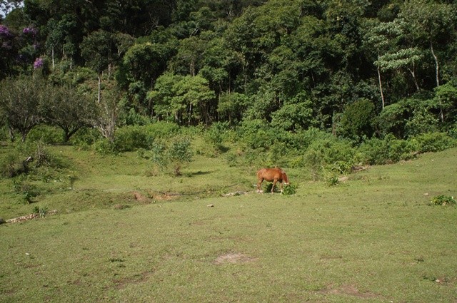 0 para Casas - Venda em Campos do Jordão