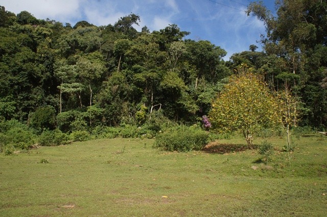 0 para Casas - Venda em Campos do Jordão