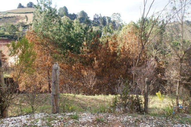 0 para Casas - Venda em Campos do Jordão