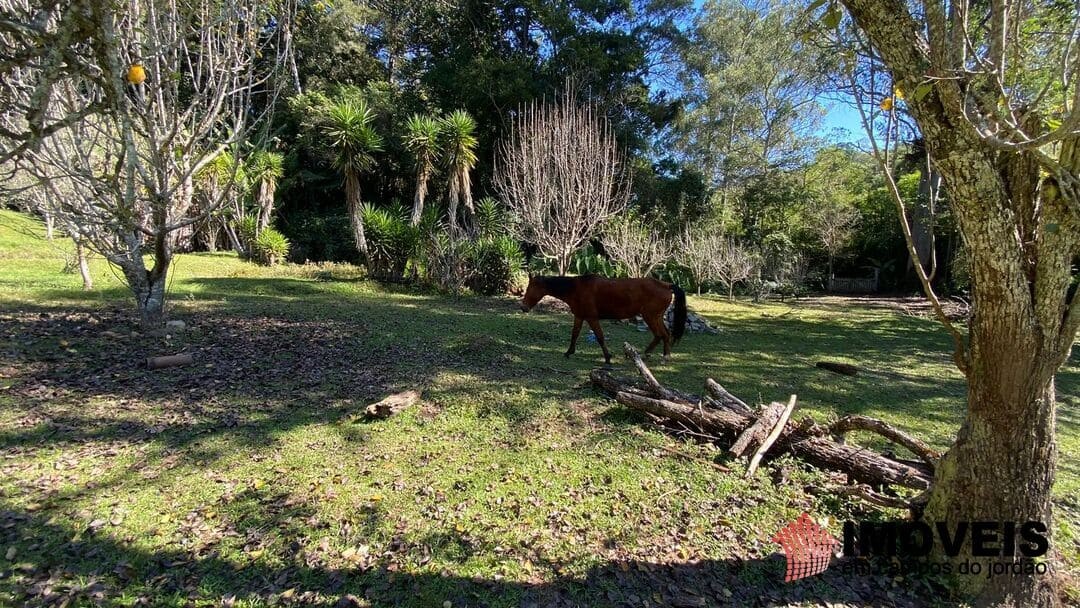 1 para Sítios - Venda em Campos do Jordão
