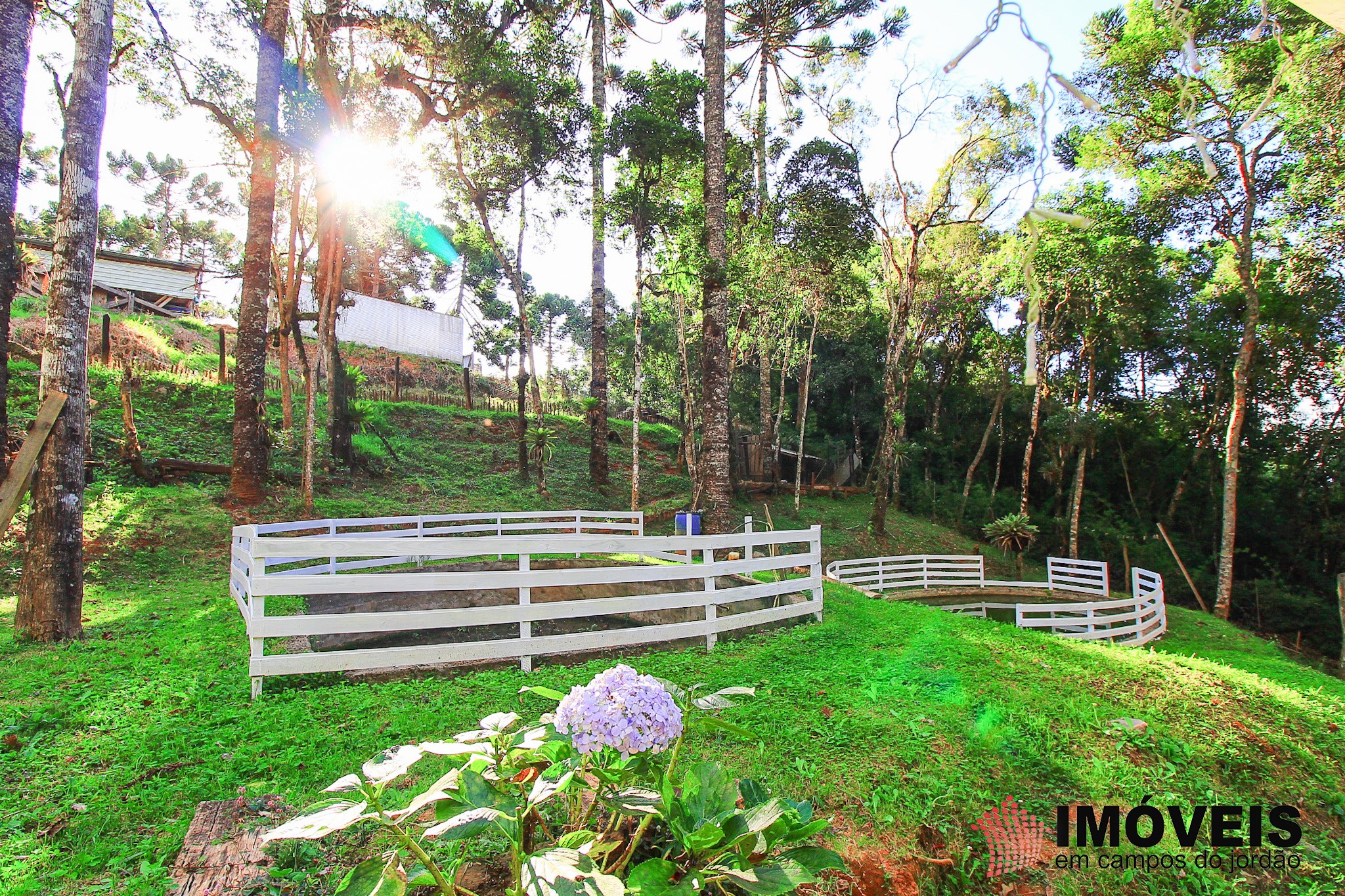 1 para Casas - Venda em Campos do Jordão