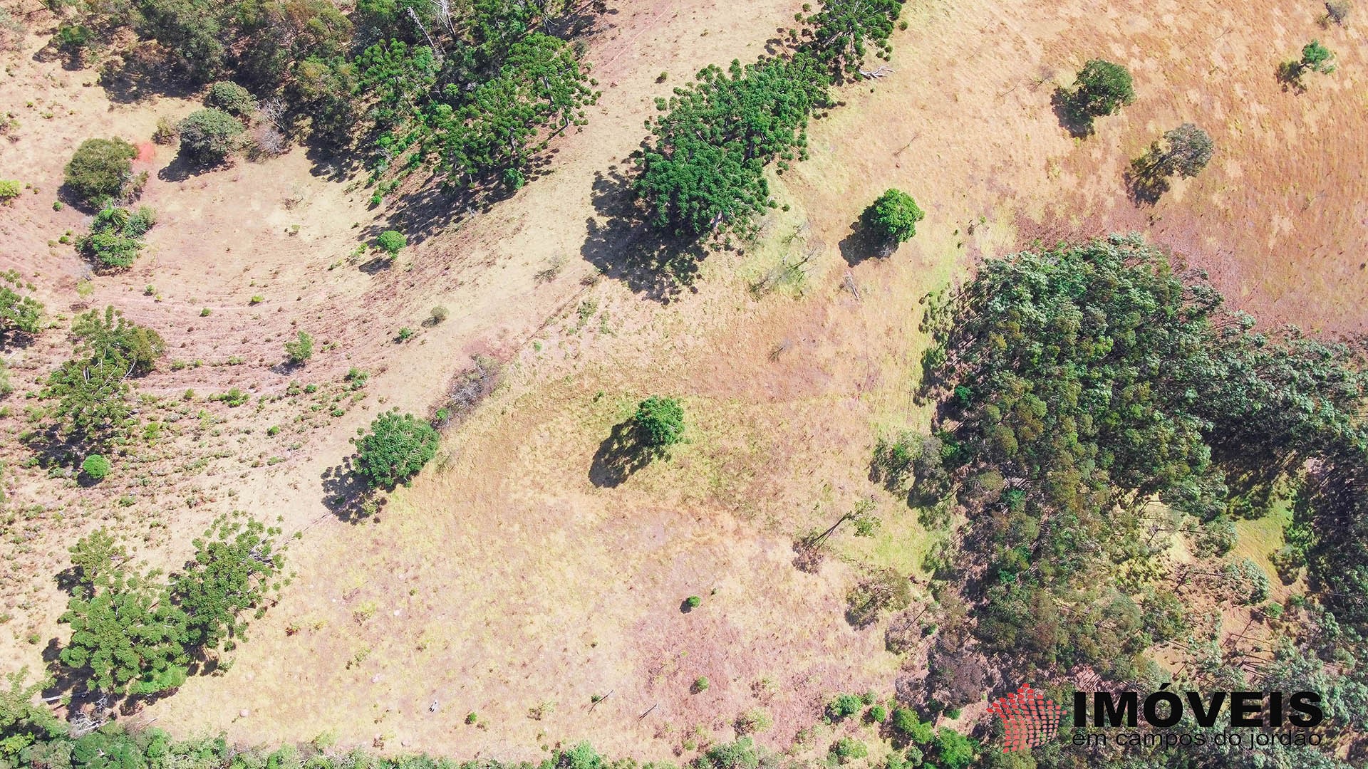 Terreno para Venda