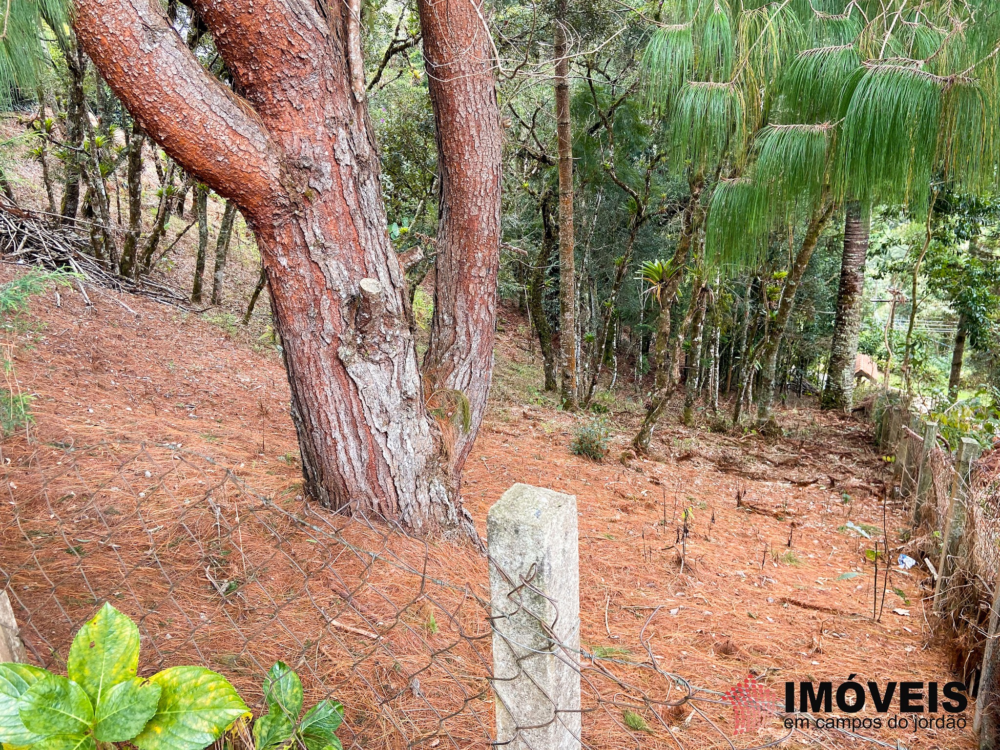 1 para Terrenos - Venda em Campos do Jordão