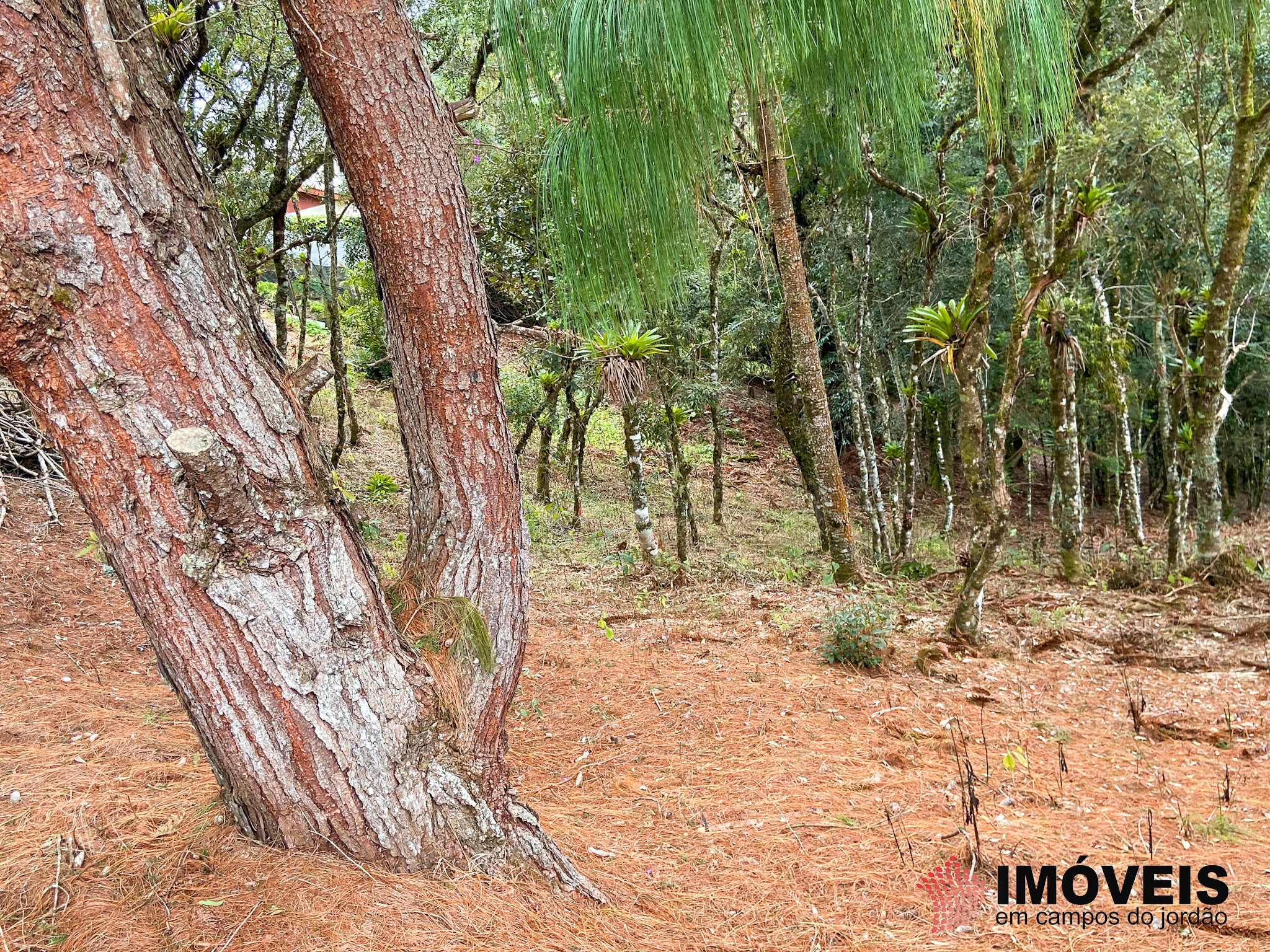 1 para Terrenos - Venda em Campos do Jordão