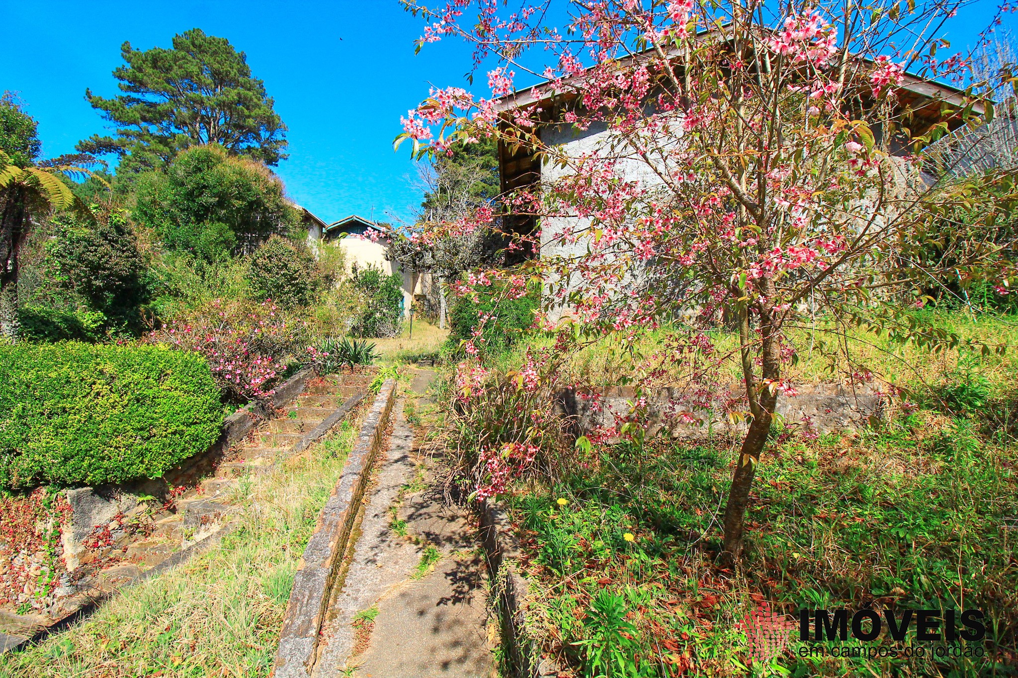 0 para Casas - Venda em Campos do Jordão