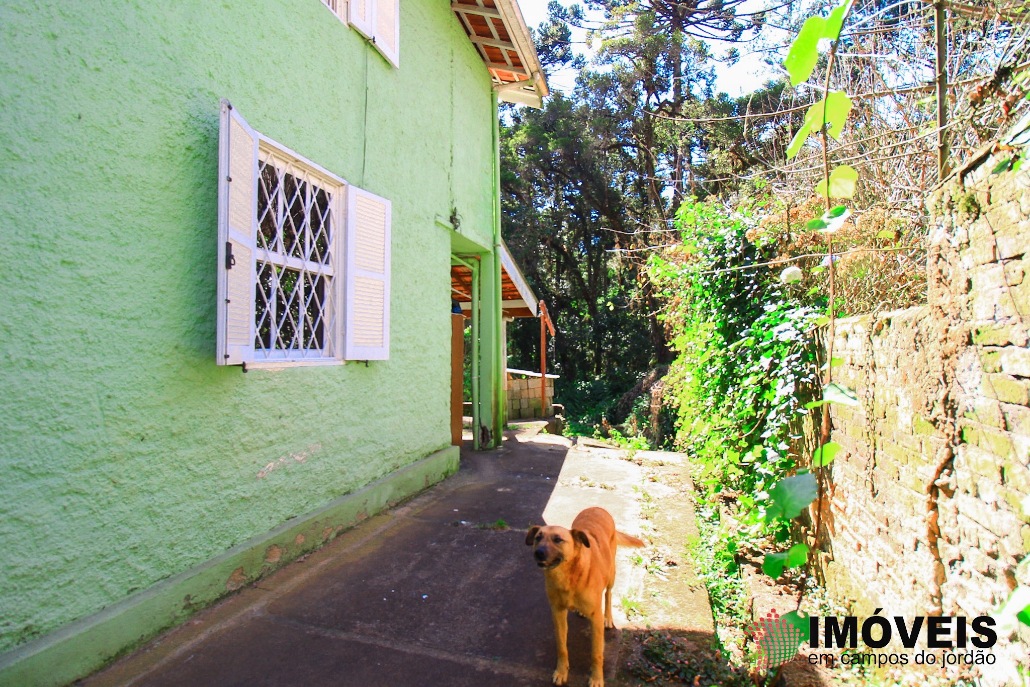 0 para Casas - Venda em Campos do Jordão