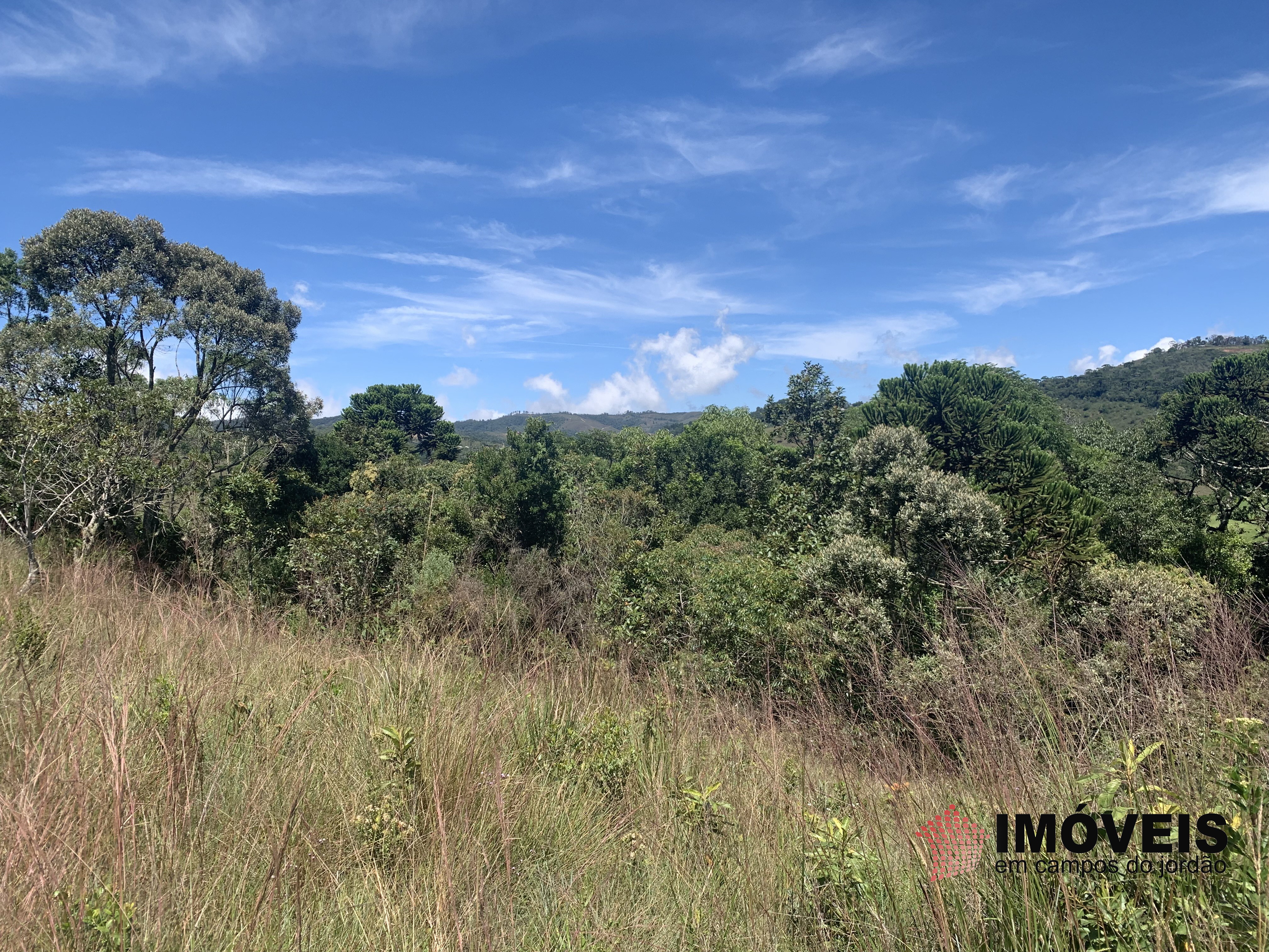 Terreno para Venda