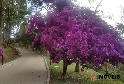 0 para Sítios - Venda em Campos do Jordão