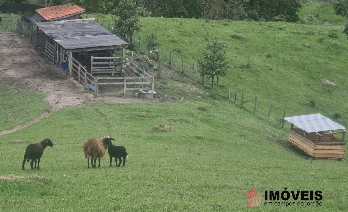 0 para Sítios - Venda em Campos do Jordão