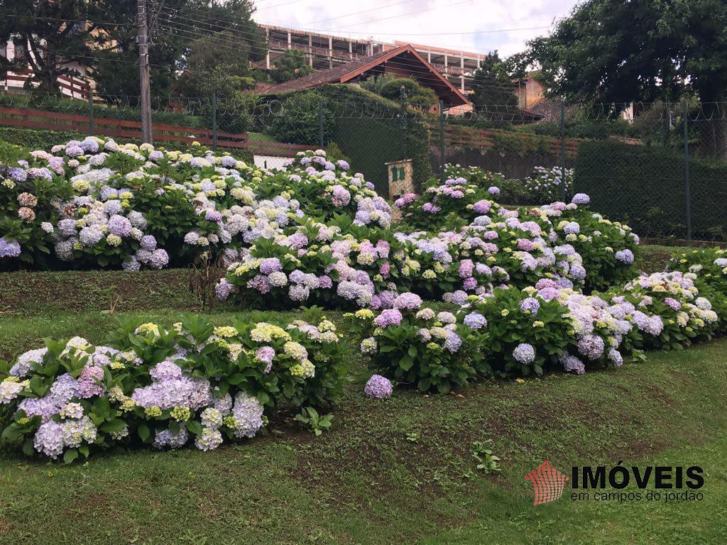0 para Casas - Venda em Campos do Jordão