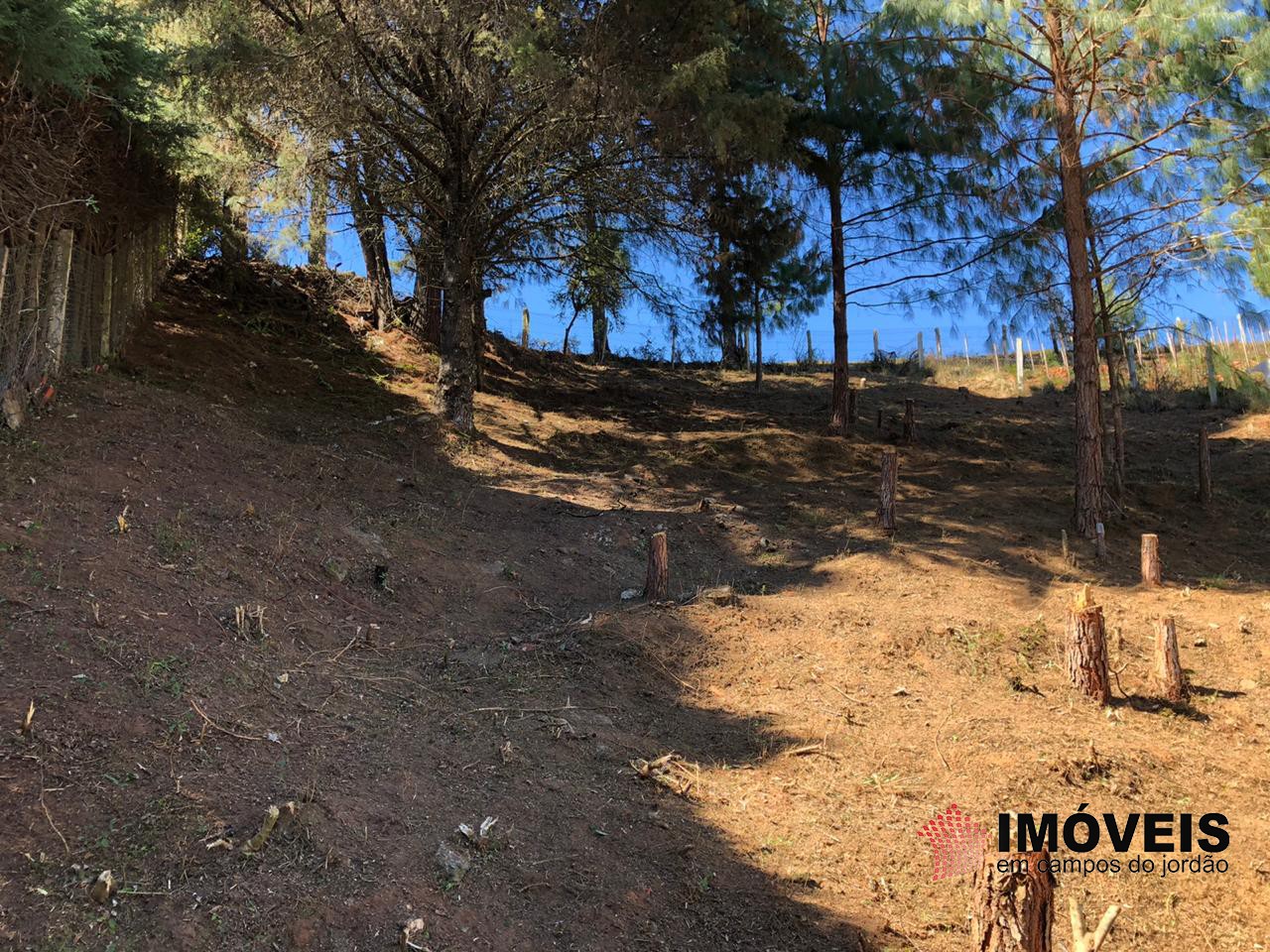 1 para Terrenos - Venda em Campos do Jordão