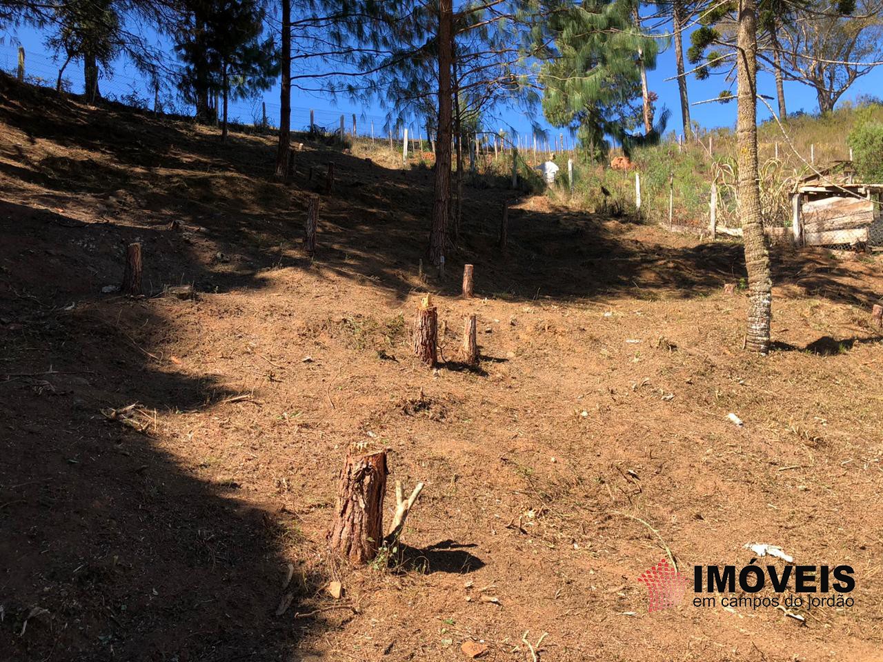 1 para Terrenos - Venda em Campos do Jordão